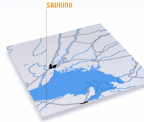 3d view of Savkino