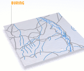 3d view of Buring