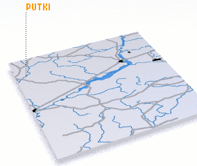 3d view of Putʼki