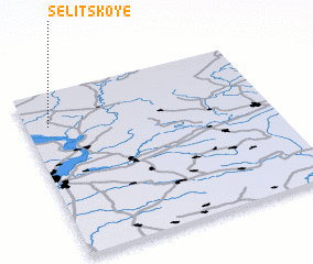 3d view of Selitskoye