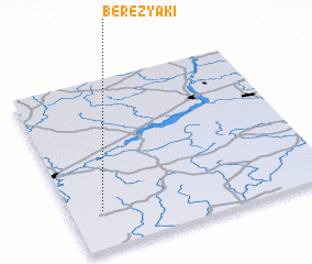 3d view of Berezyaki