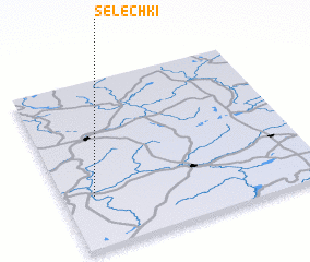 3d view of Selechki