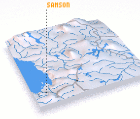 3d view of Samson