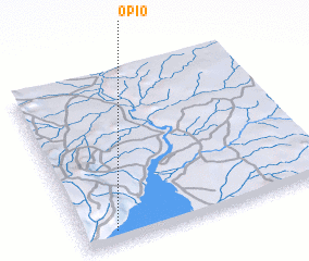 3d view of Opio