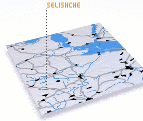 3d view of Selishche