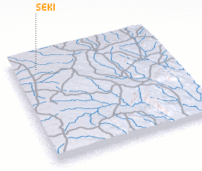 3d view of Seki