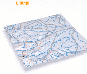 3d view of eNumbi