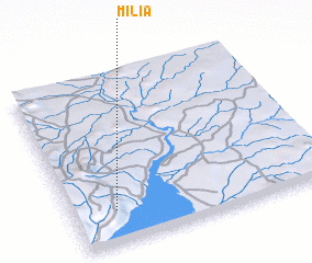 3d view of Milia