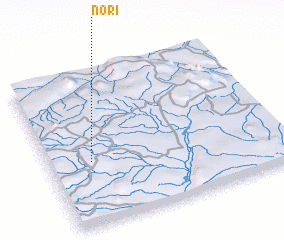 3d view of Nori