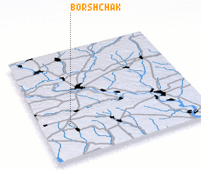 3d view of Borshchak