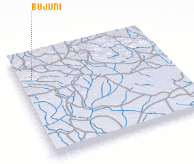 3d view of Bujuni
