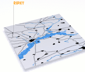 3d view of Ripky