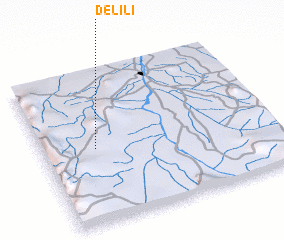 3d view of Delili