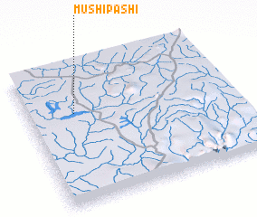 3d view of Mushipashi