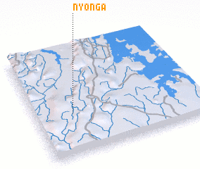 3d view of Nyonga