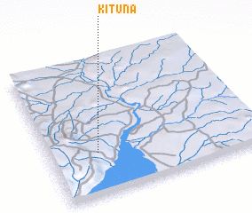 3d view of Kituna