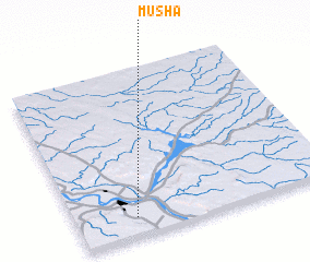 3d view of Mūshā