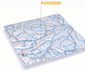 3d view of Piggs Peak