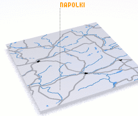 3d view of Napolki