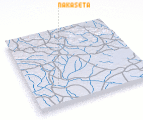 3d view of Nakaseta