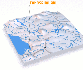 3d view of Tomo Sakalani