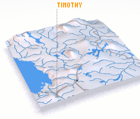 3d view of Timothy