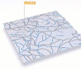 3d view of Munsa