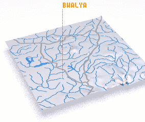 3d view of Bwalya