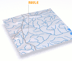 3d view of Maule