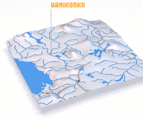 3d view of Wamikonko