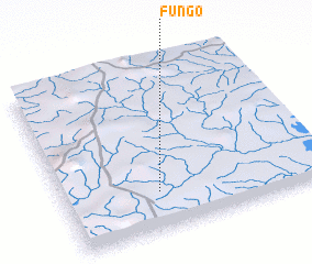 3d view of Fungo