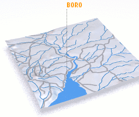 3d view of Boro