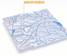 3d view of Kaponyamboo