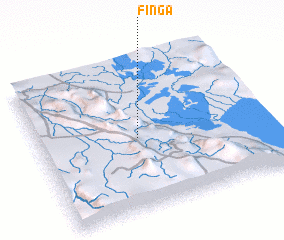 3d view of Finga
