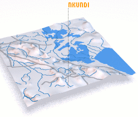 3d view of Nkundi