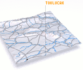 3d view of Toklucak