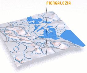 3d view of Fiengalezia
