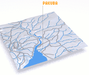 3d view of Pakuba
