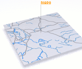 3d view of Niaro