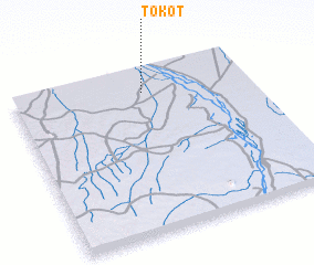 3d view of Tokot