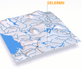 3d view of Selemani