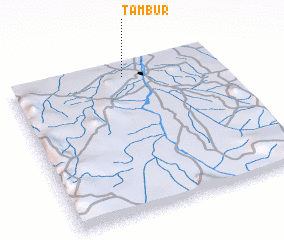 3d view of Tambur