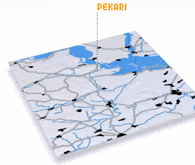 3d view of Pekari