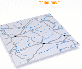 3d view of Tokovnoye