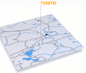 3d view of Tsvetki