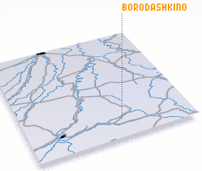 3d view of Borodashkino