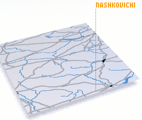 3d view of Nashkovichi