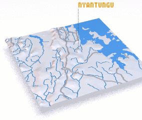 3d view of Nyantungu