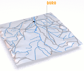 3d view of Duro