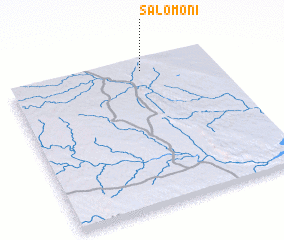 3d view of Salomoni
